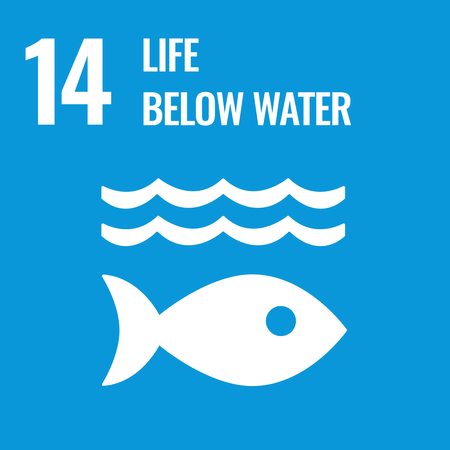 SDGs_icon