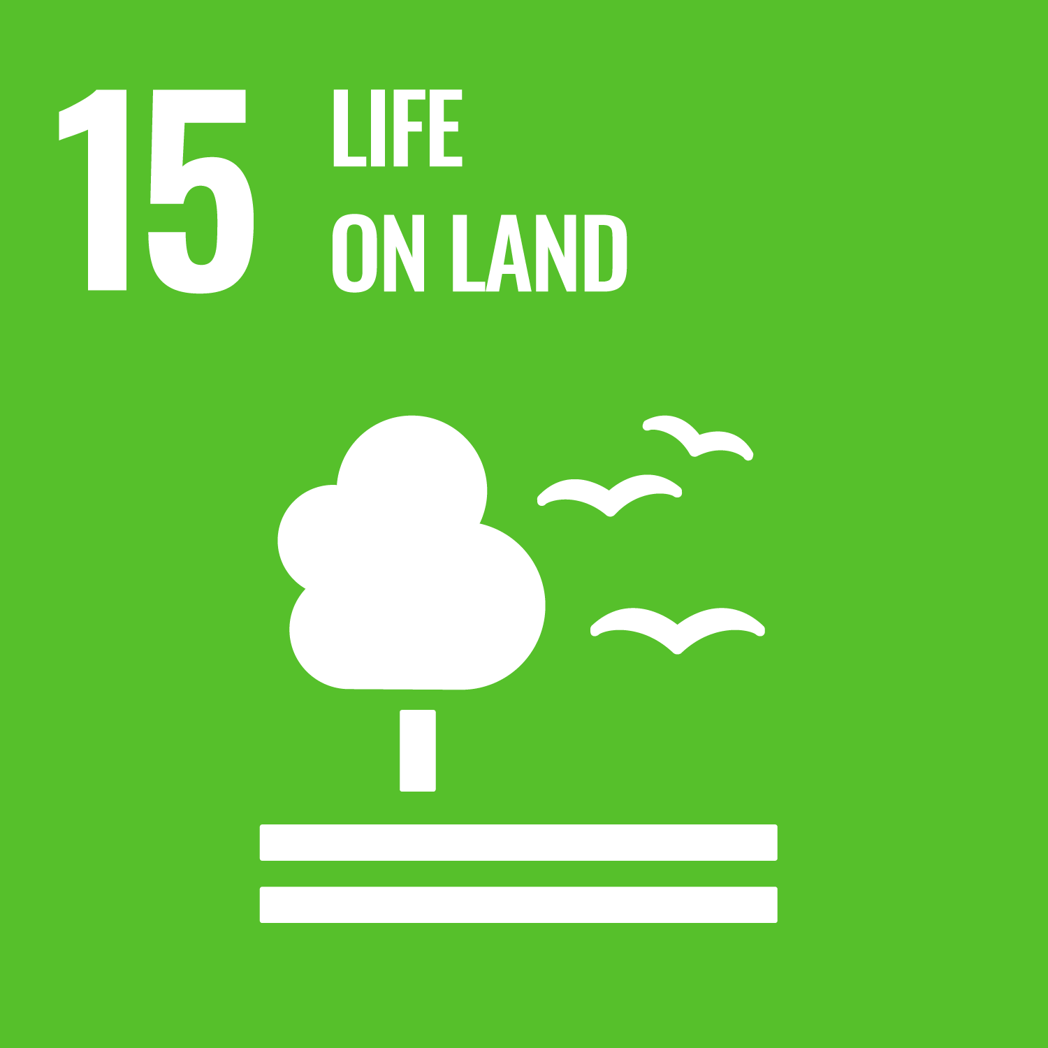 SDGs_icon